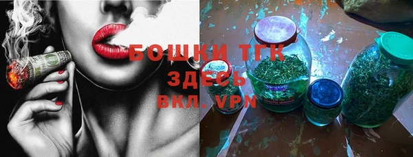 молекула духа Ахтубинск