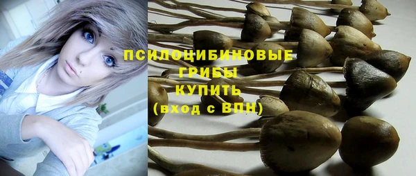 прущие крисы Михайловка