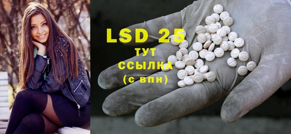 ECSTASY Михайлов