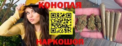 тгк Камышлов