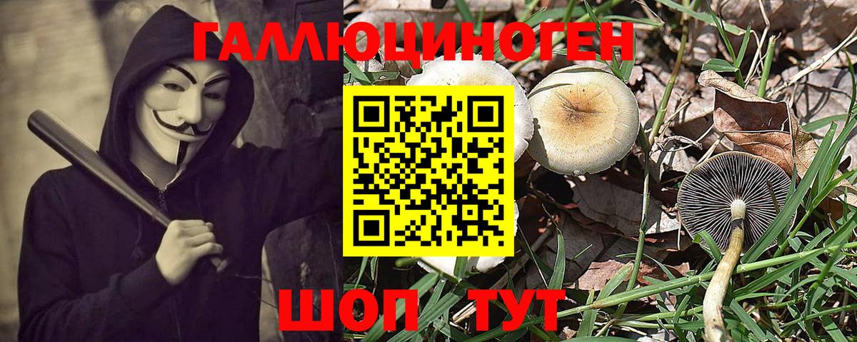 Псилоцибиновые грибы мицелий  Вход с VPN  Тихорецк 