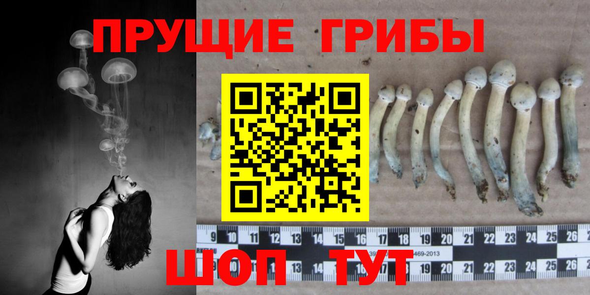 Галлюциногенные грибы Psilocybine cubensis Тихорецк